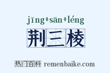 荆三棱是什么意思的图片